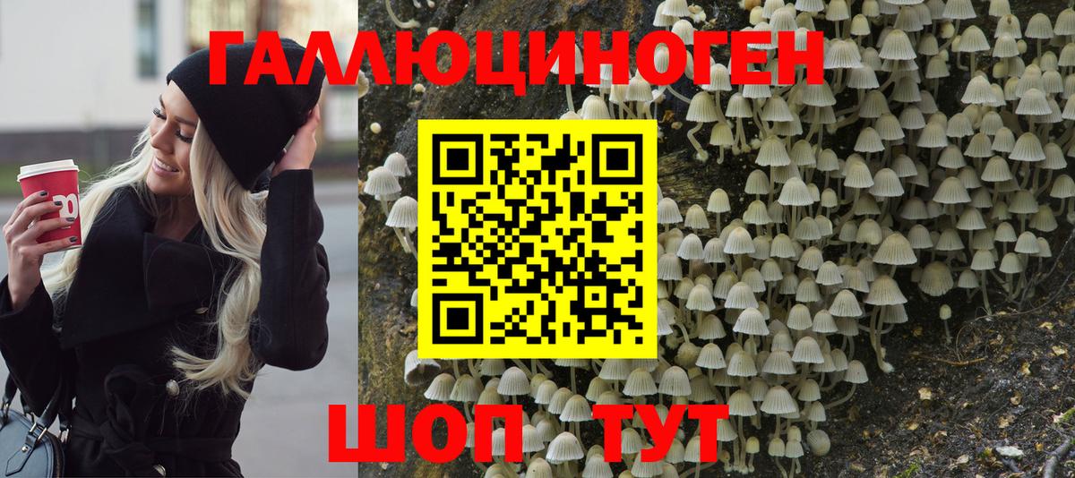 Галлюциногенные грибы ЛСД Мурино